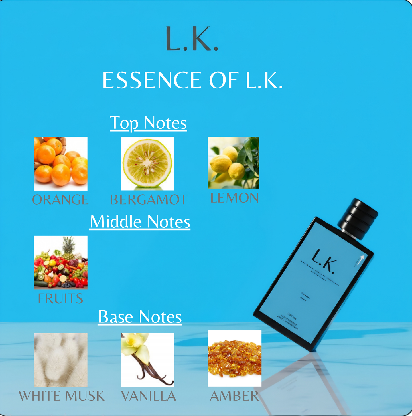ESSENCE OF L.K.